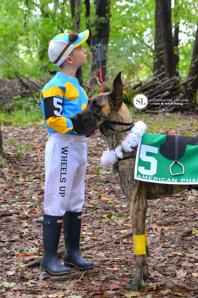 DIY Horse Costumes
 17 DIY Pet Costume Ideas that are Hilariously CUTE