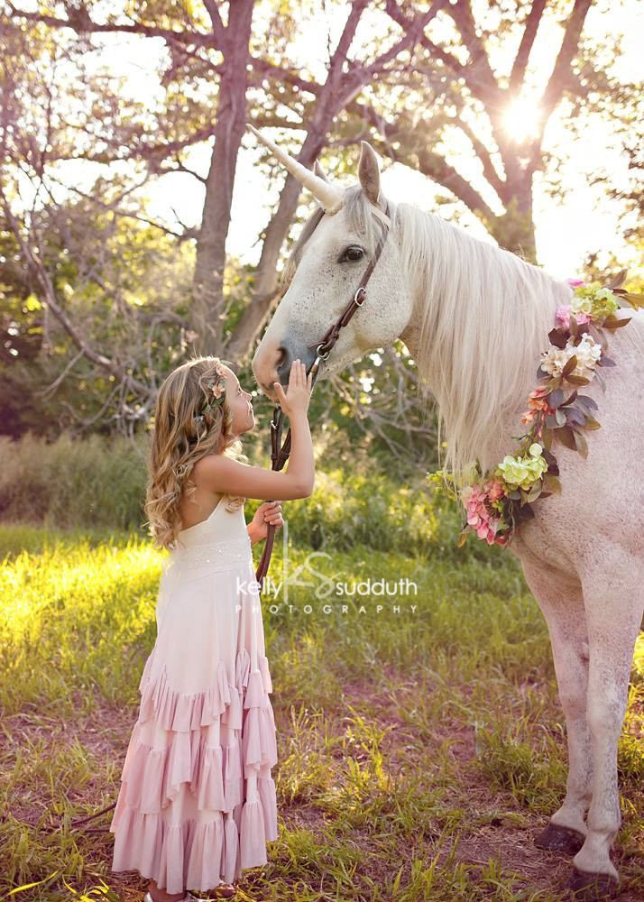DIY Horse Costumes
 DIY Unicorn Horn Costume Piece for a Live Horse Sewing Pattern