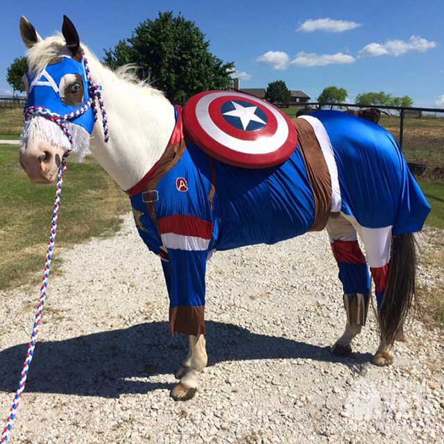 DIY Horse Costumes
 DIY Captain America Horse Costume Costume Yeti