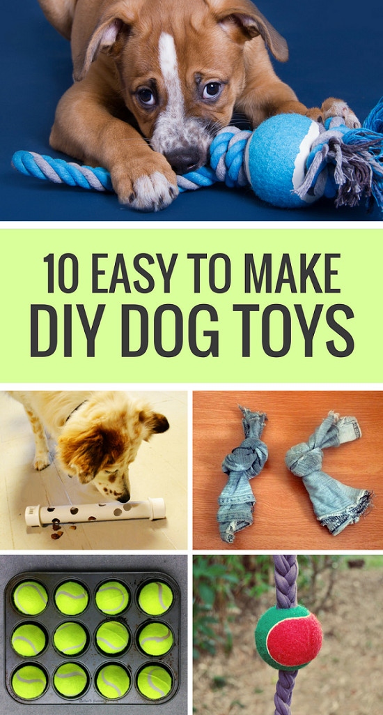 DIY Indestructible Dog Toy
 10 Easy to Make DIY Dog Toys Puppy Leaks