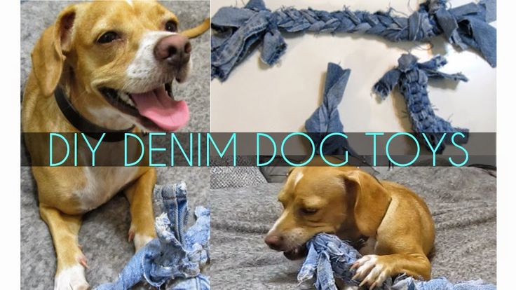 DIY Indestructible Dog Toy
 17 Best images about puppy love on Pinterest