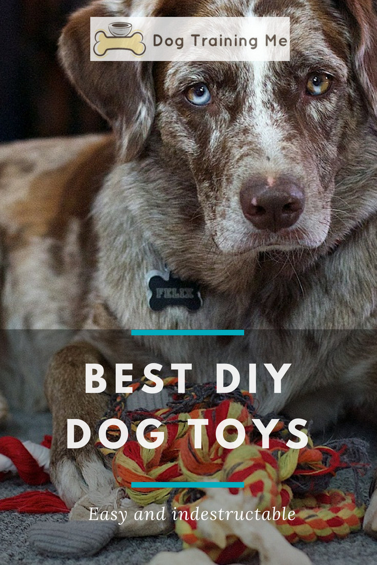 DIY Indestructible Dog Toy
 The Best DIY Dog Toys From Easy to Indestructible