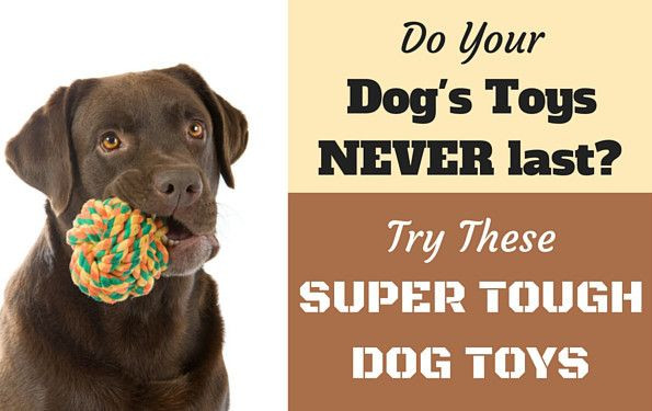 DIY Indestructible Dog Toy
 10 Best Toughest Durable Dog Toys For Heavy Chewers