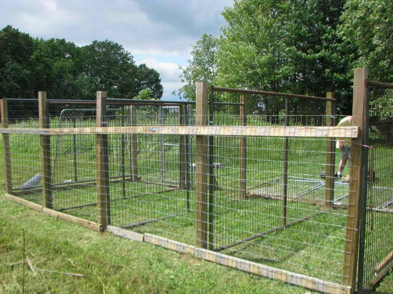 DIY Indoor Dog Fence
 Dog Fences Outdoor DIY To Keep Your Dogs Secure