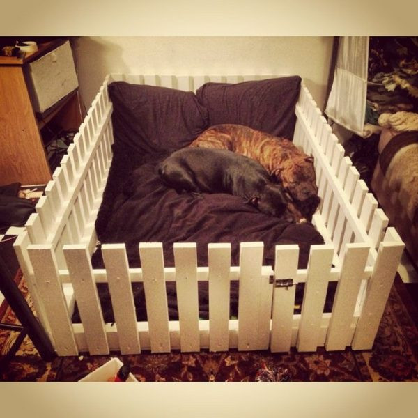 DIY Indoor Dog Fence
 15 camas para mascotas hechas con objetos reciclados