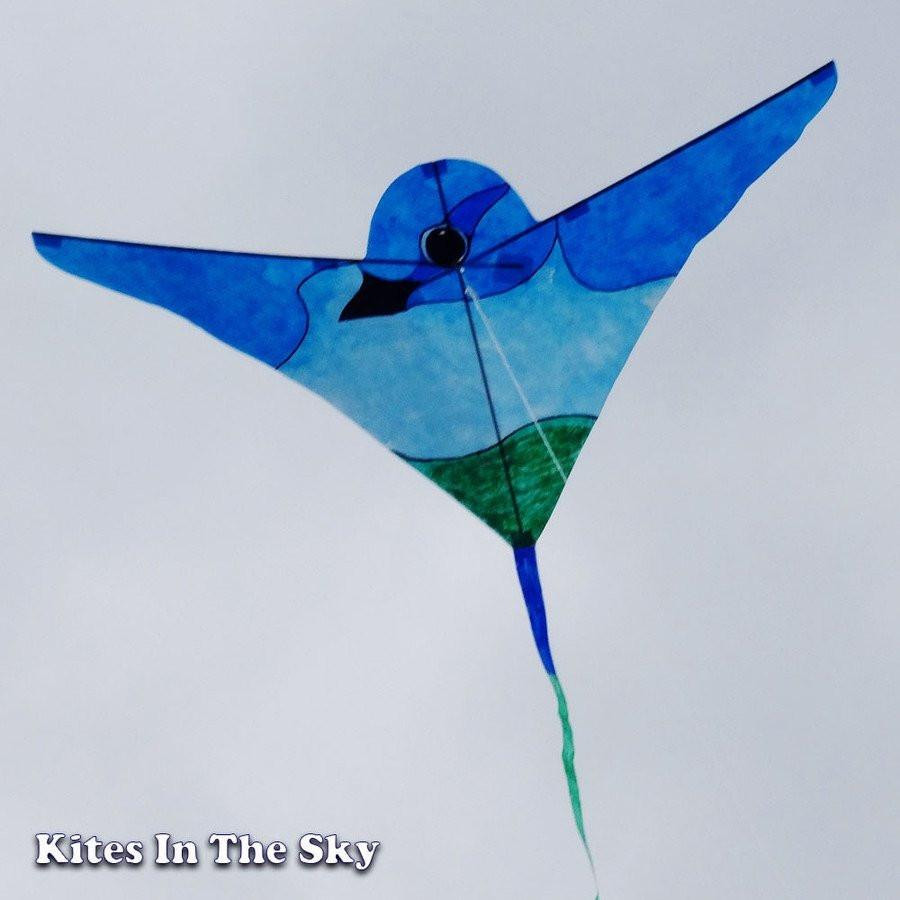 DIY Kite Kit
 Brasington Bird DIY Kite Kit 10 pk