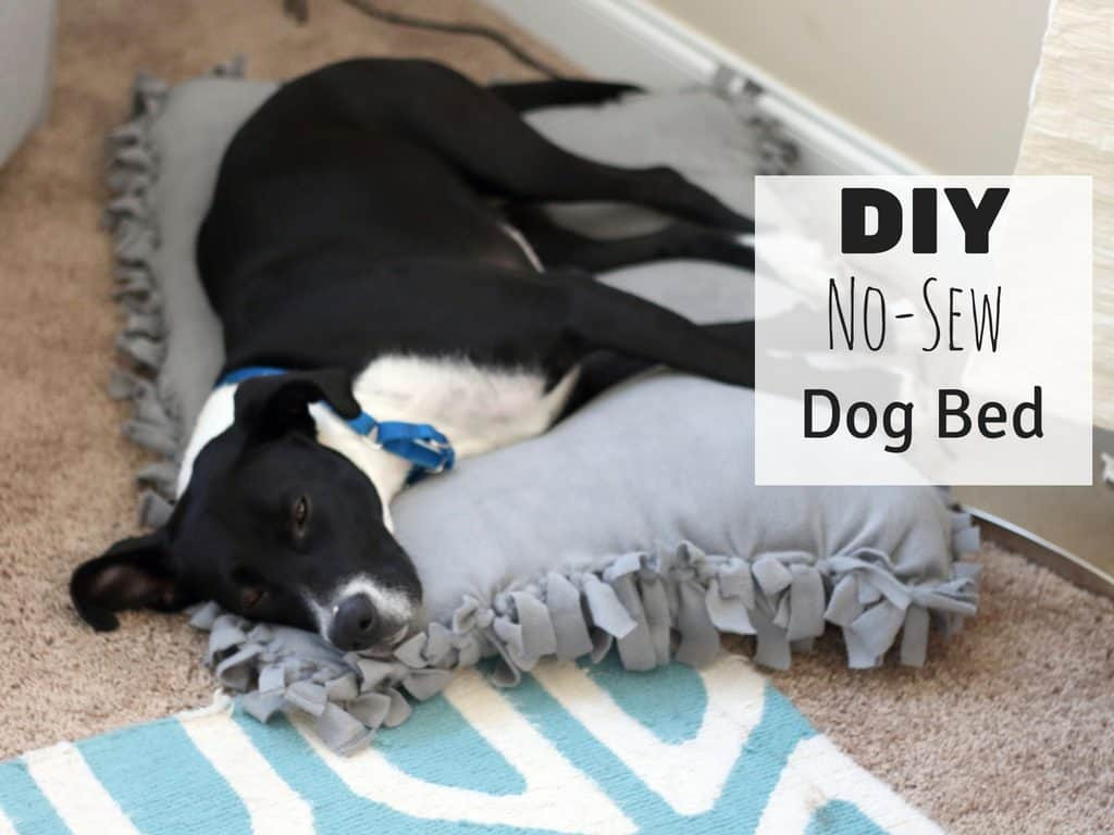 DIY Large Dog Bed No Sew
 DIY No Sew Dog Bed For Under $10 Saving You Dinero