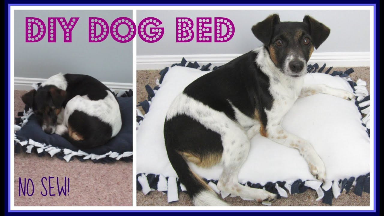 DIY Large Dog Bed No Sew
 Step by Step NO SEW DIY Dog Bed