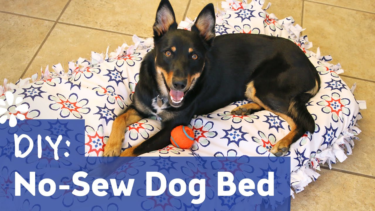 DIY Large Dog Bed No Sew
 DIY No Sew Dog Pet Bed