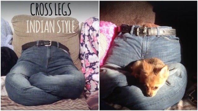 DIY Large Dog Bed No Sew
 DIY No Sew Dog Bed Made From Your Old Clothes