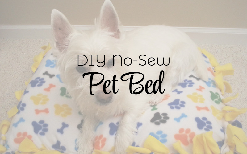 DIY Large Dog Bed No Sew
 DIY No Sew Pet Bed The Everyday Dog Mom