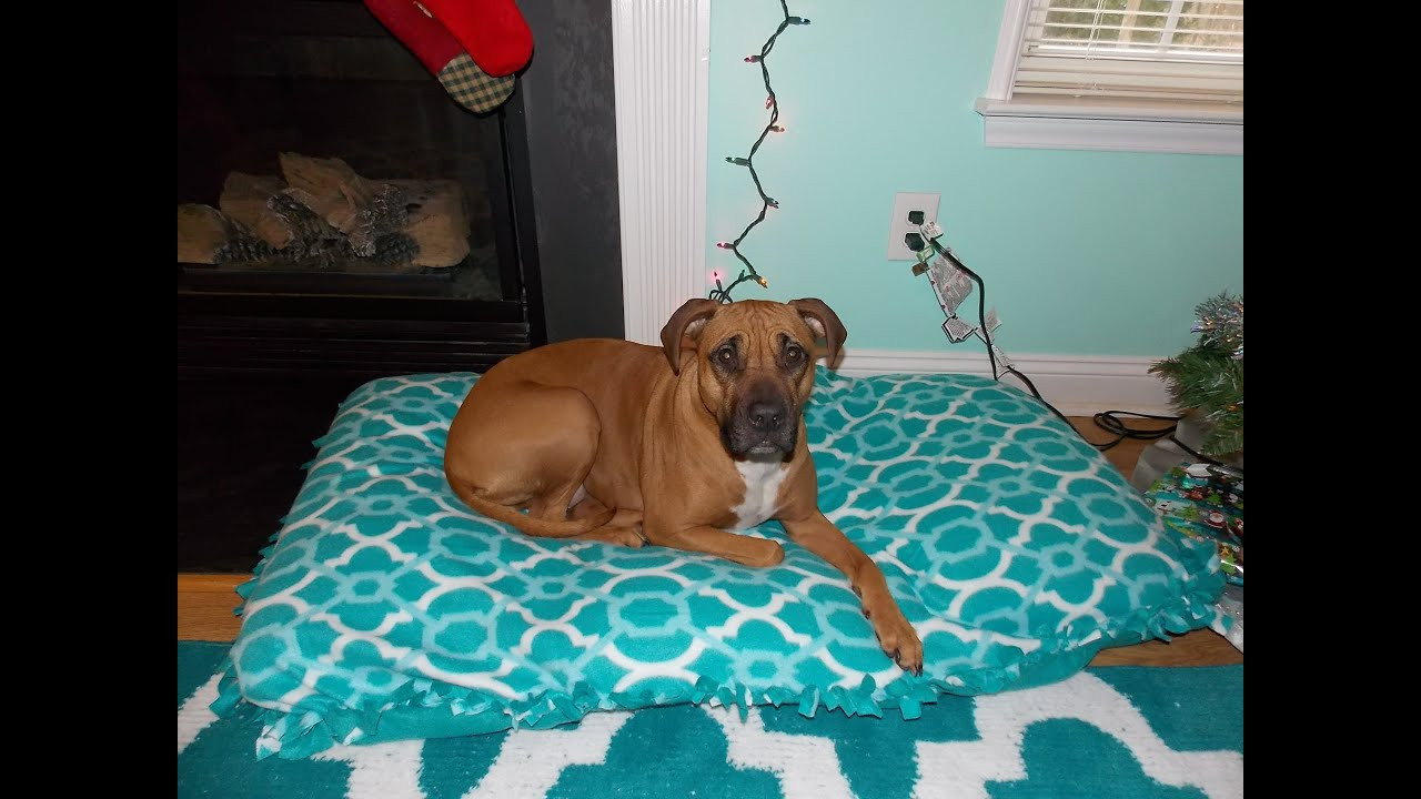 DIY Large Dog Bed No Sew
 DIY Recycled Dog Bed No Sew