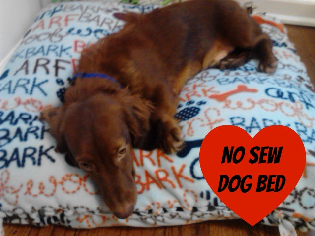DIY Large Dog Bed No Sew
 Let s Get Pinteresty with a No Sew Dog Bed