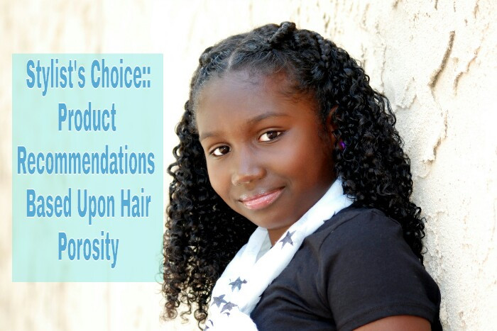 DIY Leave In Conditioner For Low Porosity Hair
 Stylist s Choice Product for Your Hair s Porosity