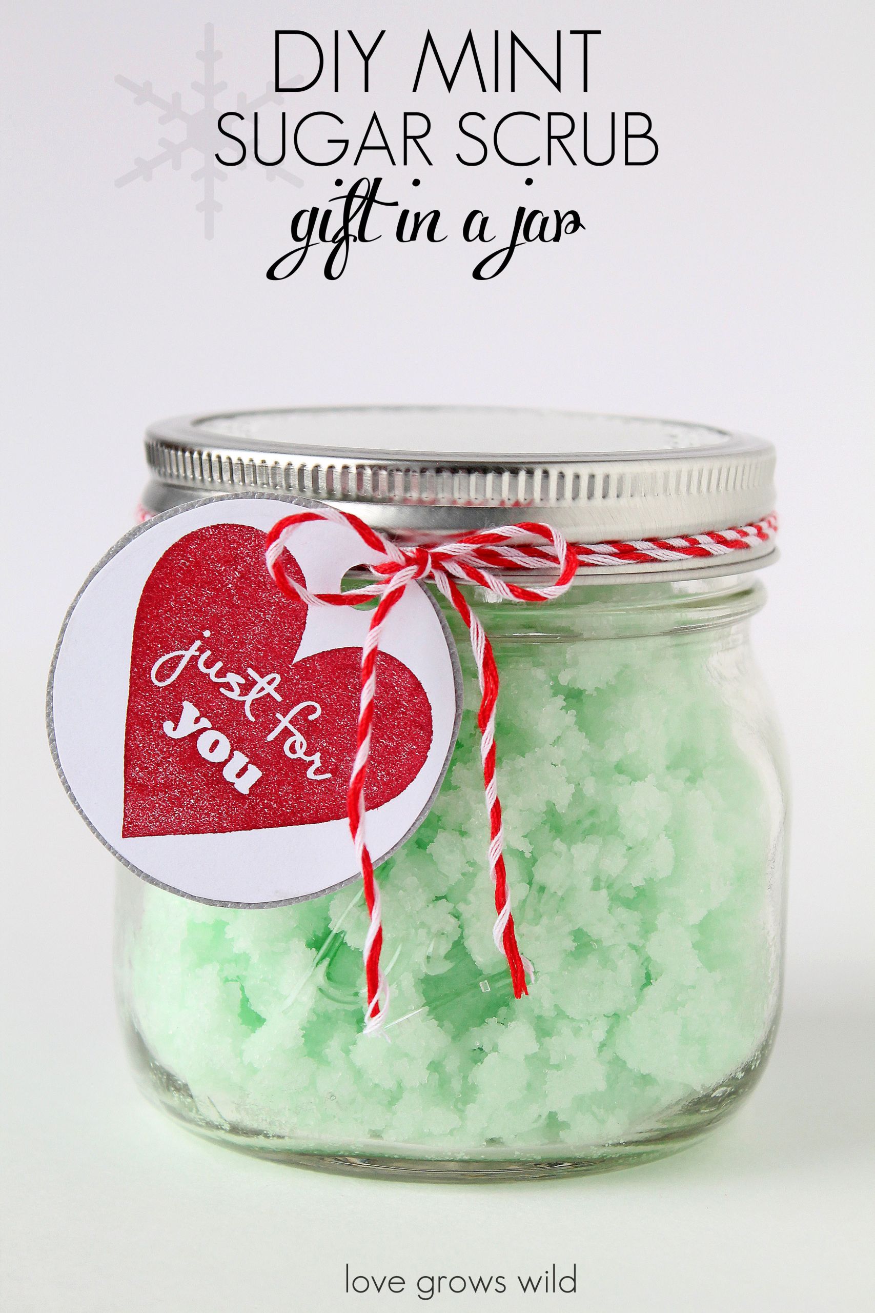 DIY Mason Jar Gift Ideas For Christmas
 5 Fun Mason Jar Gift Ideas Love Grows Wild