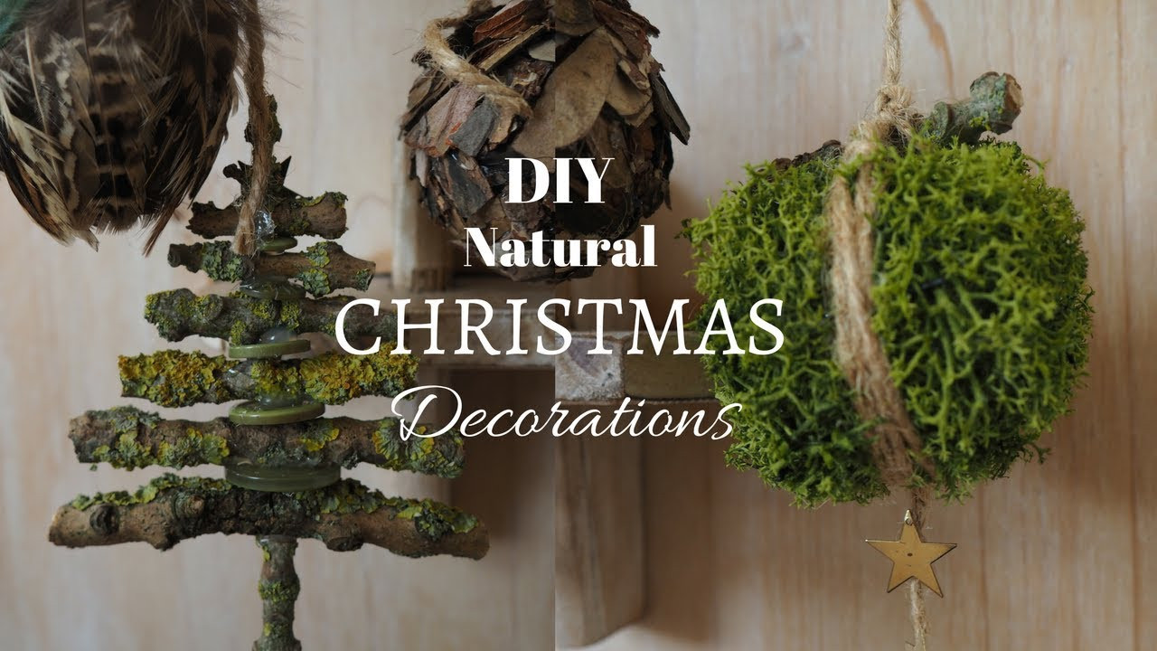 DIY Nature Decor
 DIY Natural Christmas Decorations