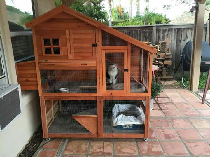 DIY Outdoor Cat House
 10 Best images about DIY Cat Enclosures on Pinterest