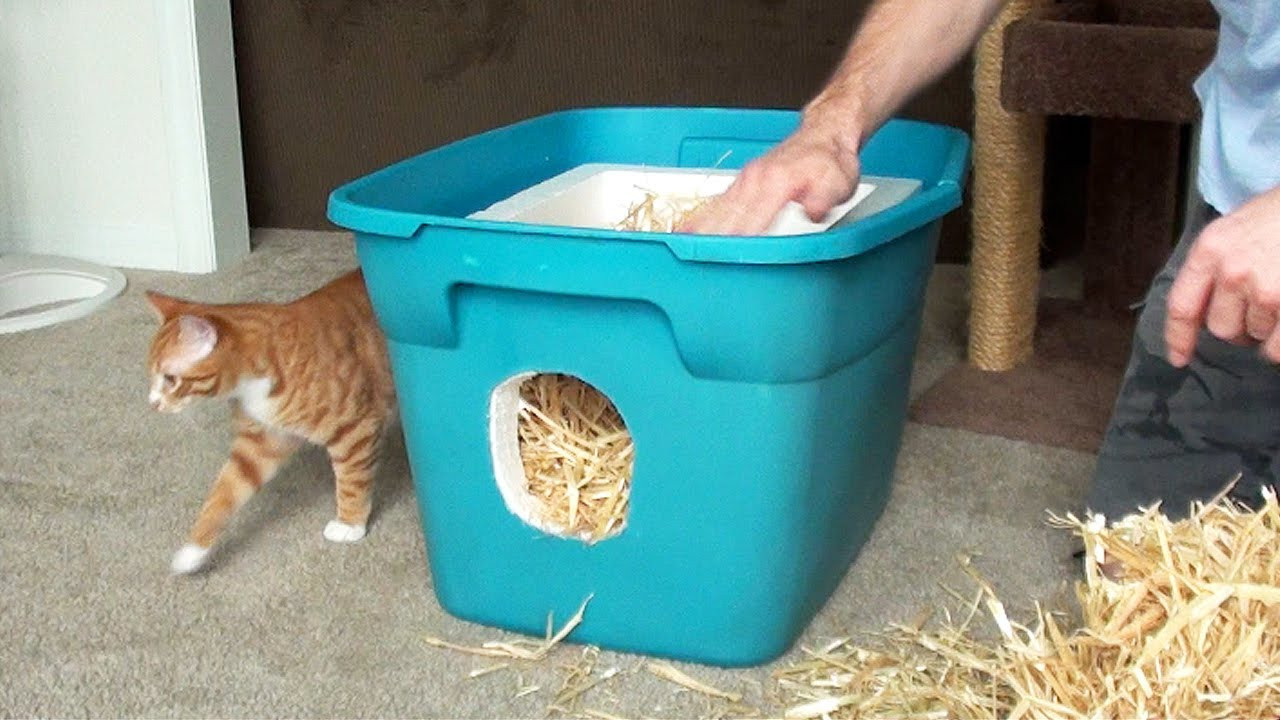 DIY Outdoor Cat House
 How to Make a Feral Cat Shelter