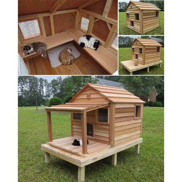 DIY Outdoor Cat House
 Cool Cedar Cat Cottage CatsPlay Superstore