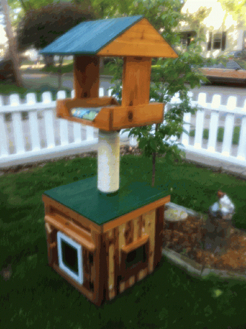 DIY Outdoor Cat House
 DIY Wooden Outdoor Cat Furniture House molly and friends