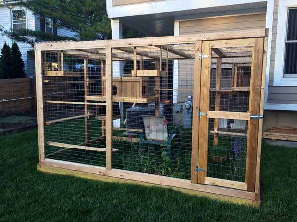 DIY Outdoor Cat House
 Awesome Outdoor Cats Walkway and House