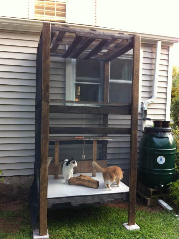 DIY Outdoor Cat House
 I’ve Finally Be e a Cat Lady