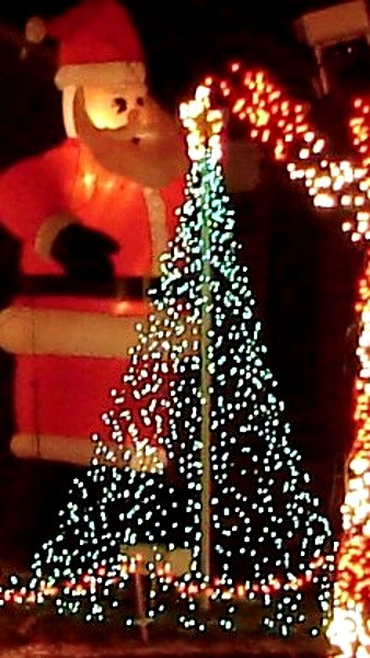 DIY Outdoor Christmas Light Tree
 50 Best Outdoor Christmas Lighting Ideas Pink Lover