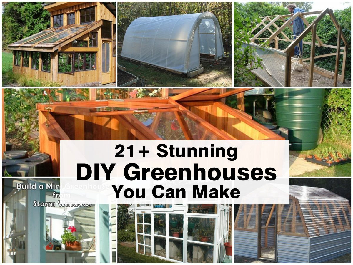 DIY Outdoor Greenhouse
 21 Stunning DIY Greenhouses You Can Make