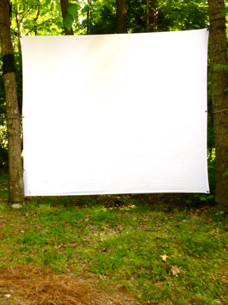 DIY Outdoor Movie Screen
 DIY outdoor movie screen – M O D F R U G A L