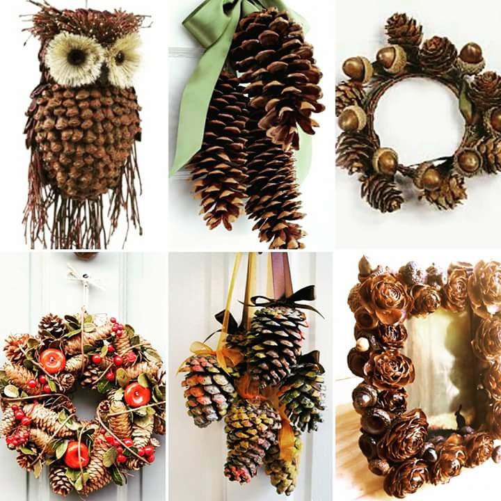 DIY Pinecone Decorations
 50 Interesting and Out of the Box DIY Pinecones Craft