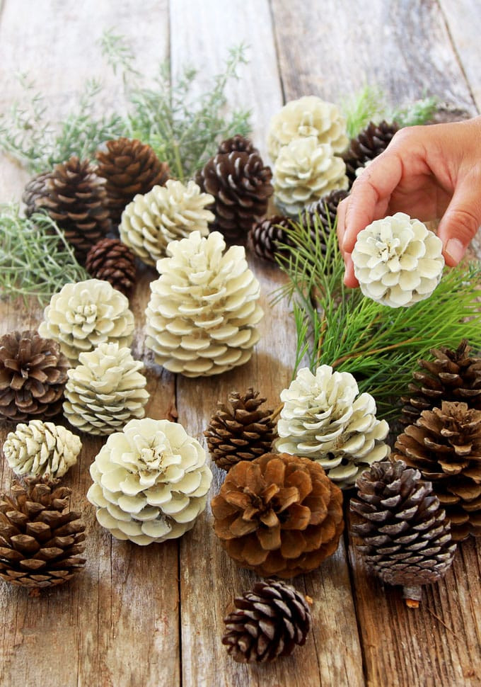 DIY Pinecone Decorations
 Easiest 5 Minute "Bleached Pinecones" without Bleach