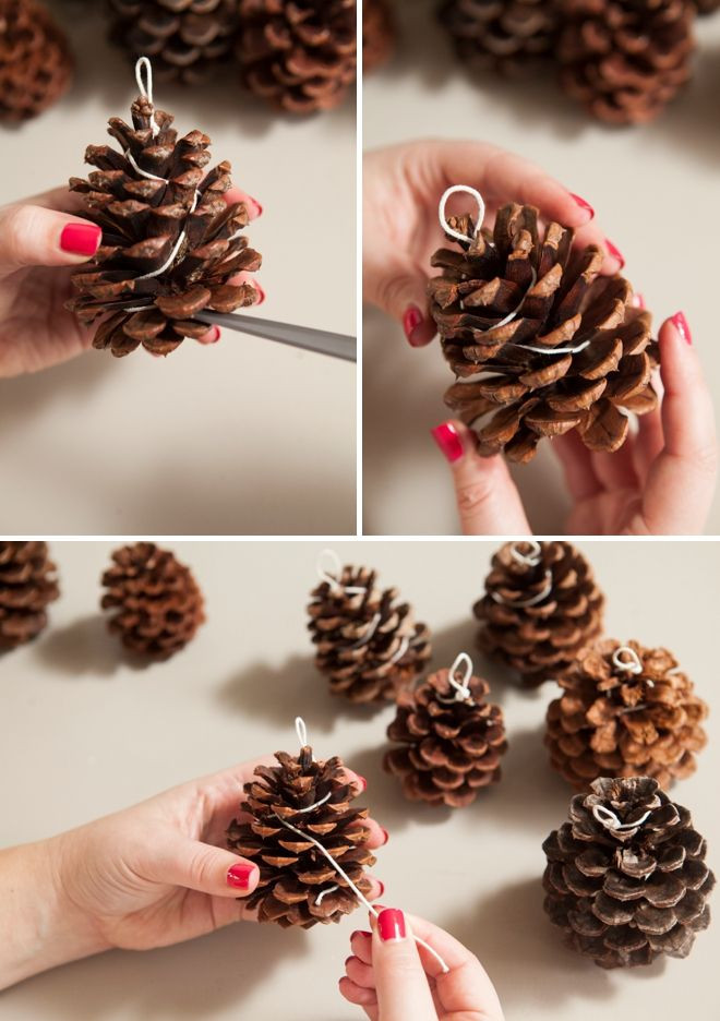 DIY Pinecone Decorations
 Learn how to make your own Pinecone Fire Starters