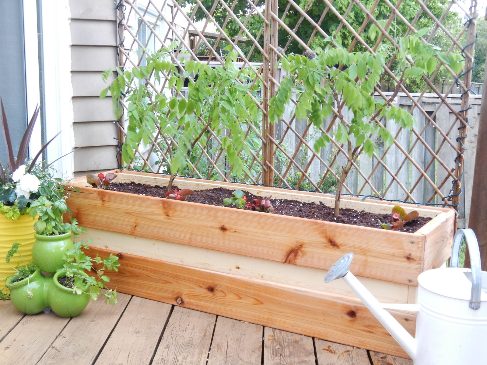 DIY Planting Boxes
 Planting for Privacy – DIY Wood Planter