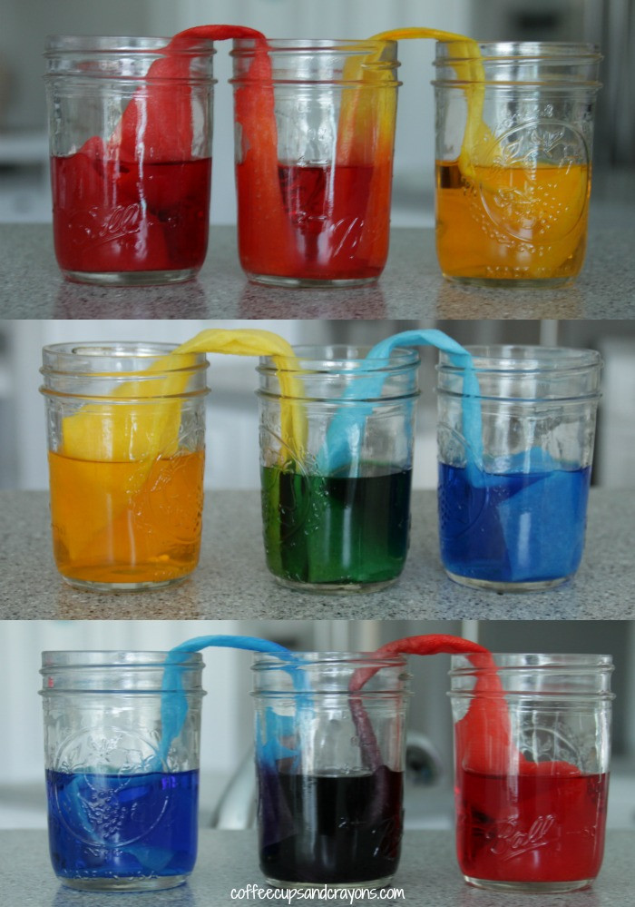 DIY Science Projects For Kids
 10 Easy Science Projects for Kids – My List of Lists