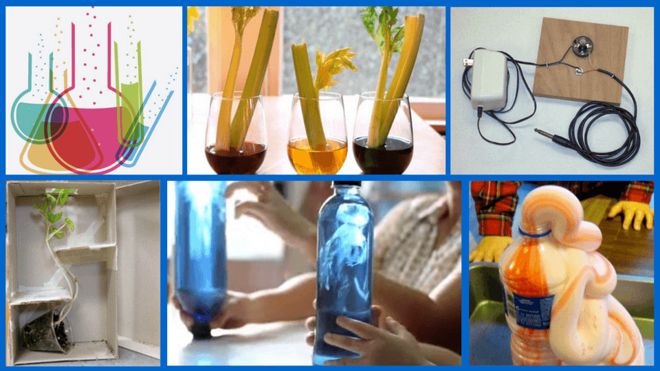 DIY Science Projects For Kids
 20 Awesome DIY Science Projects To Do With Your Kids