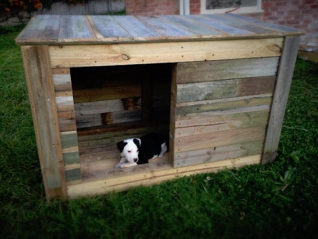 DIY Small Dog House
 DIY Dog House Ideas For Crafty And Not So Crafty Dog Lovers