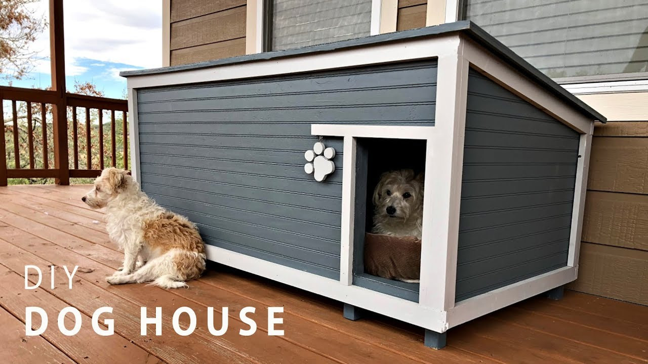 DIY Small Dog House
 DIY Insulated Dog House Build