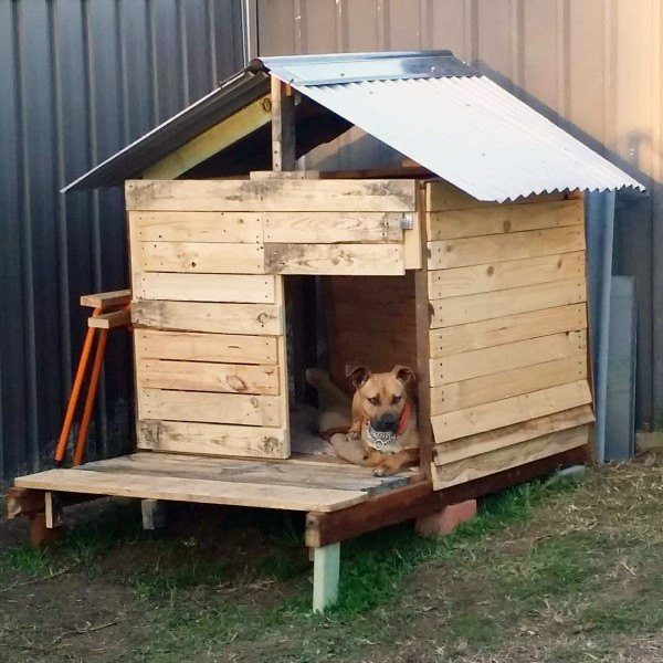 DIY Small Dog House
 Top 60 Best Dog House Ideas Barkitecture Designs