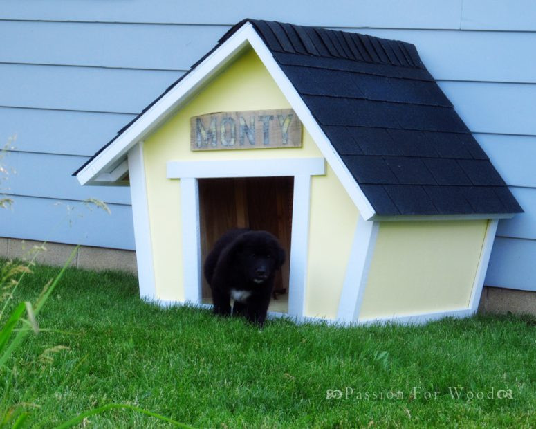 DIY Small Dog House
 9 Creative DIY Dog House Ideas To Build Shelterness