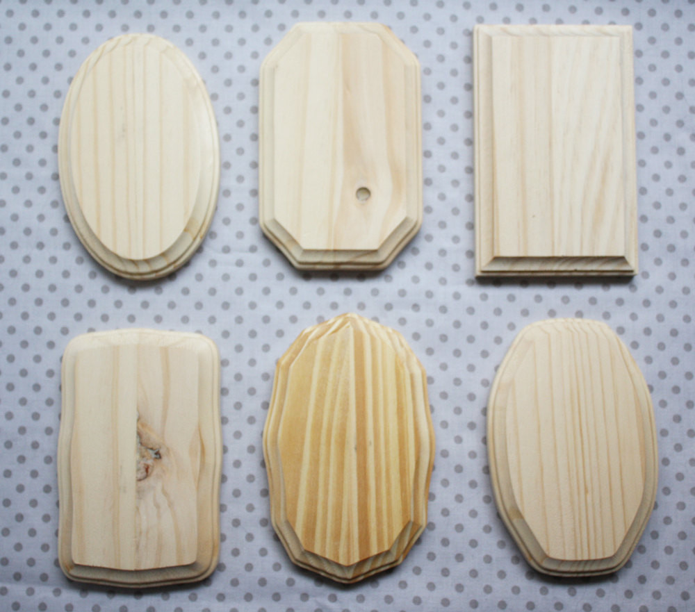 DIY Wood Plaques
 Set of 6 Wood Plaques Great for DIY Trophies DIY Wood Signs