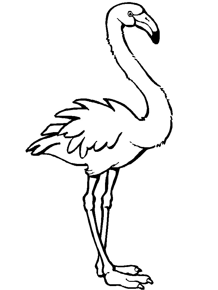Dltk-Kids Coloring Pages
 Dltk Coloring Pages Coloring Pages