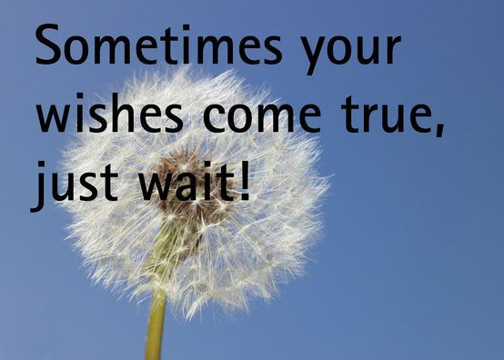 Do Birthday Wishes Come True
 Wishes Quotes Sometimes your wishes e true just wait