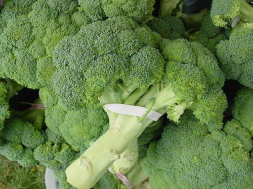 Does Broccoli Have Fiber
 12 Health Benefits of Broccoli Backed by Science and 5