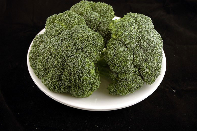 Does Broccoli Have Fiber
 What 200 Calories of Various Foods Looks Like TwistedSifter
