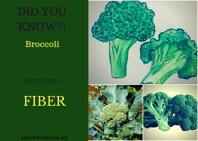 Does Broccoli Have Fiber
 FIBER broccoli – Say No To Food Waste
