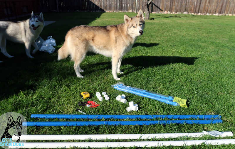 Dog Agility Jump DIY
 DIY Build Your Own Agility Jumps for Backyard Fun Gone