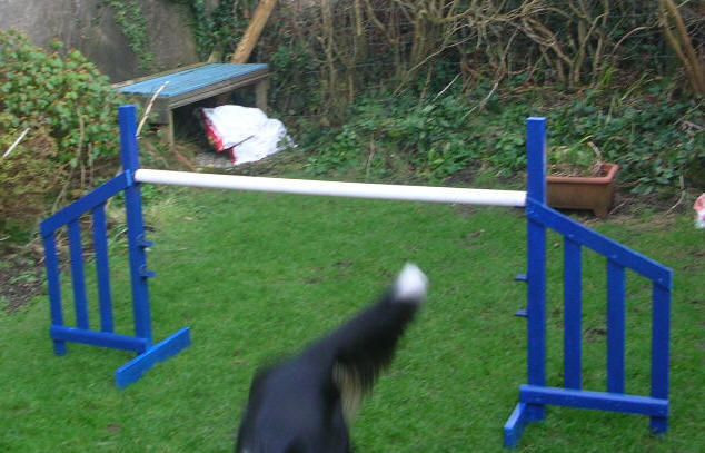 Dog Agility Jump DIY
 Simple jump wings DIY Dog Agility Course