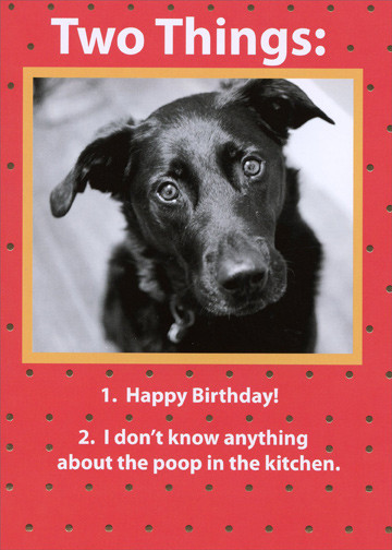 Dog Birthday Card
 Two Things Recycled Paper Greetings Funny Birthday Card