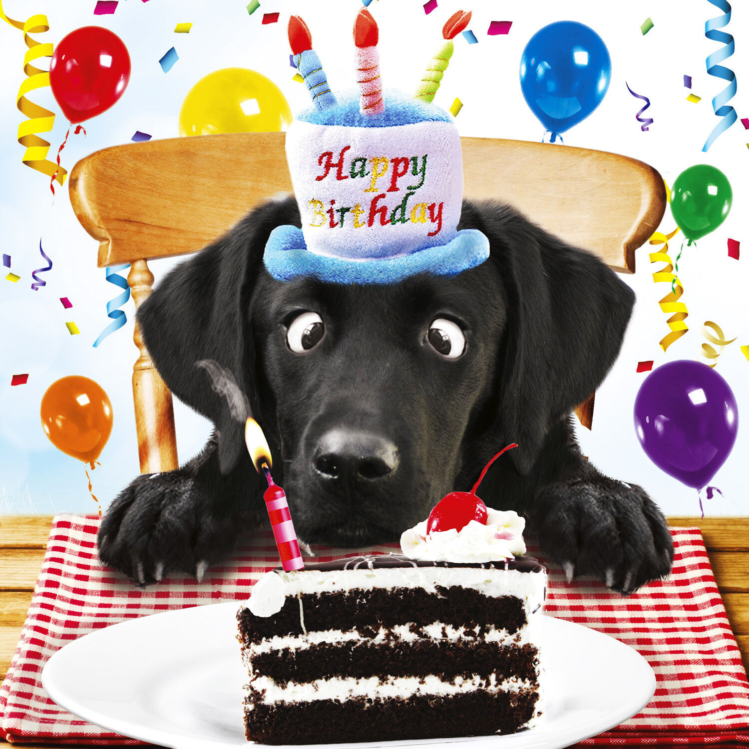 Dog Birthday Card
 Black Labrador Birthday Card For Me Funny Dog & Birthday