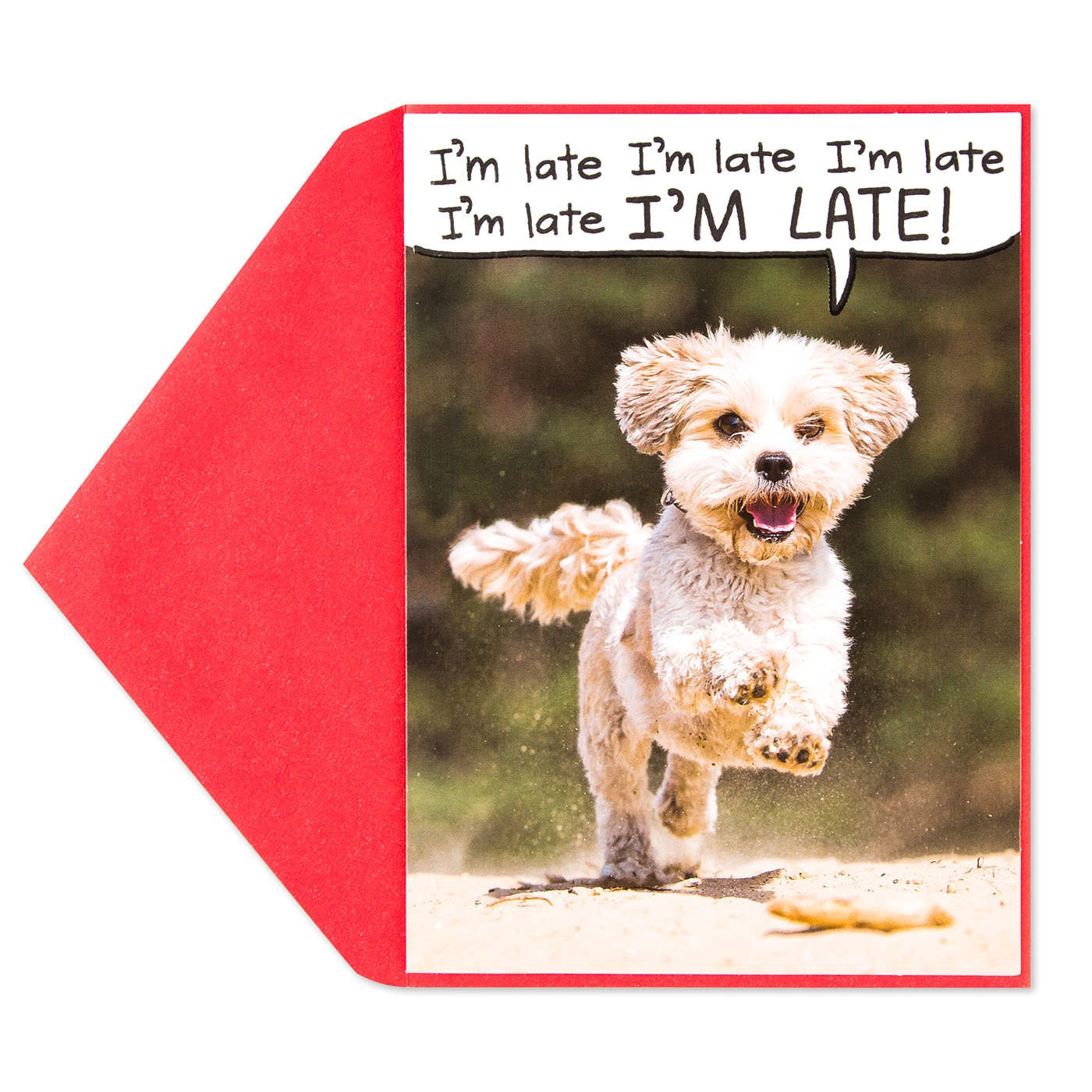 Dog Birthday Card
 I m Late Dog Birthday Card